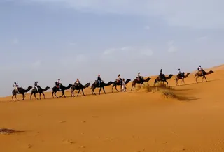 תמונה המלווה את המאמר אליעזר